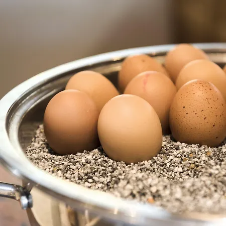 Sepp & Hannis Im Dorf 4*